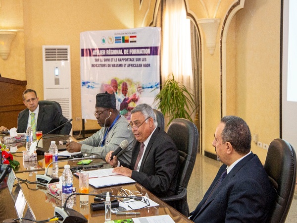 التعاون بين وزارة الري ومجلس وزراء المياه الأفارقة